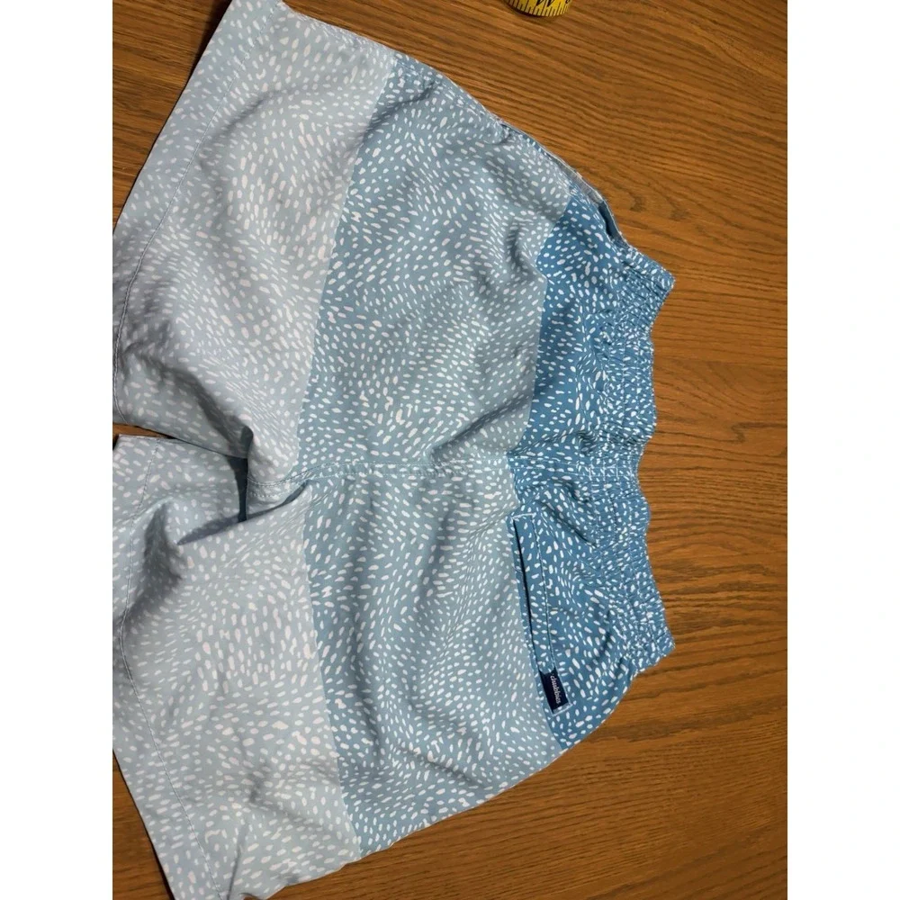 Mens Small Chubbies 5.5 In Inseam Swim Short